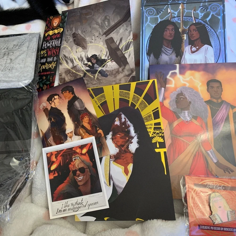 Faecrate bundle - Picture 1 of 11